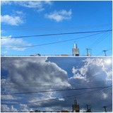 雲…【たまの日記】