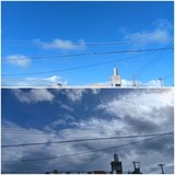 台風…【たまの日記】
