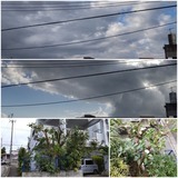 雲…【たまの日記】