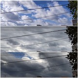 午後…【たまの日記】