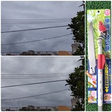 まぁ～さに…【たまの日記】