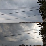 雨…【たまの日記】