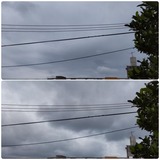 空…【たまの日記】