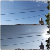 画像の…【たまの日記】