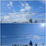 朝方…【たまの日記】