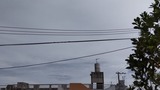 やぁ～っぱり…【たまの日記】