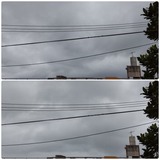 今日…【たまの日記】