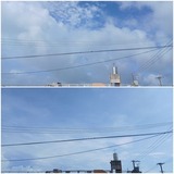 雲…【たまの日記】