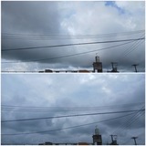 予報…【たまの日記】