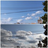 雲…【たまの日記】