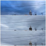 お昼頃…【たまの日記】