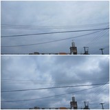 雲…【たまの日記】