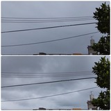 雨…【たまの日記】