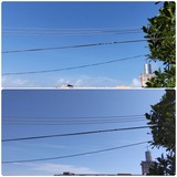 内地…【たまの日記】