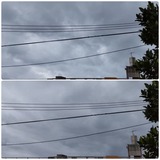昨日…【たまの日記】