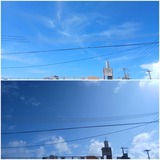 朝…【たまの日記】