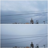 梅雨入り…【たまの日記】