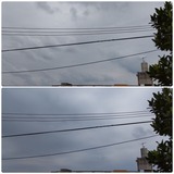 PM2:00過ぎ…【たまの日記】