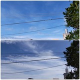 雲…【たまの日記】