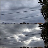 雨…【たまの日記】