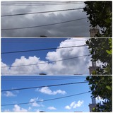 通り雨…【たまの日記】