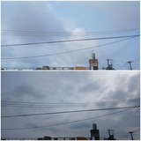 雲…【たまの日記】