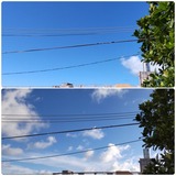 夏空…【たまの日記】