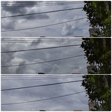 お昼頃…【たまの日記】