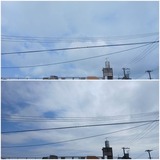 昨日…【たまの日記】