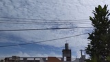 無事に…【たまの日記】