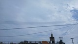 お昼前…【たまの日記】