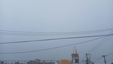 朝…【たまの日記】