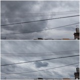 弱まった…【たまの日記】