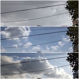 今日…【たまの日記】