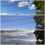 雲…【たまの日記】