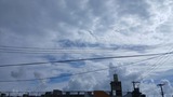 夕方…【たまの日記】