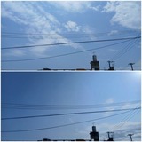 今日…【たまの日記】