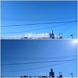 雲…【たまの日記】