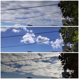 雲…【たまの日記】