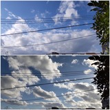 朝…【たまの日記】