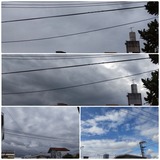 昨日…【たまの日記】
