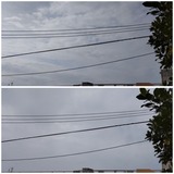 かなぁ～り…【たまの日記】