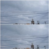 雨…【たまの日記】