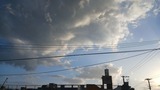 朝寝坊…【たまの日記】