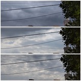 昨日…【たまの日記】