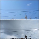 雲…【たまの日記】