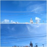 雲…【たまの日記】