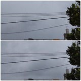 3月…【たまの日記】