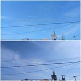 今日…【たまの日記】