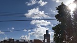 相変わらず…【たまの日記】